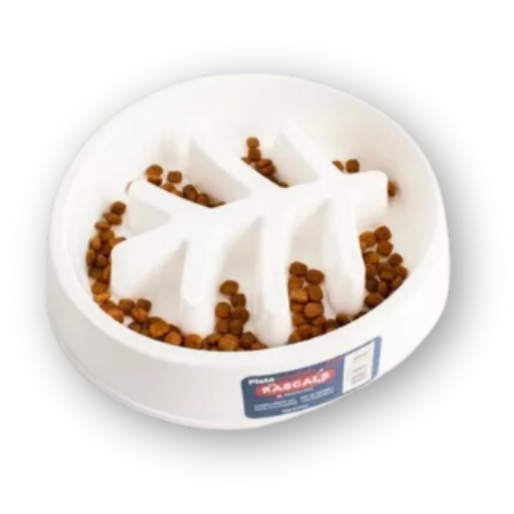 Comelento esqueleto pez Rascals