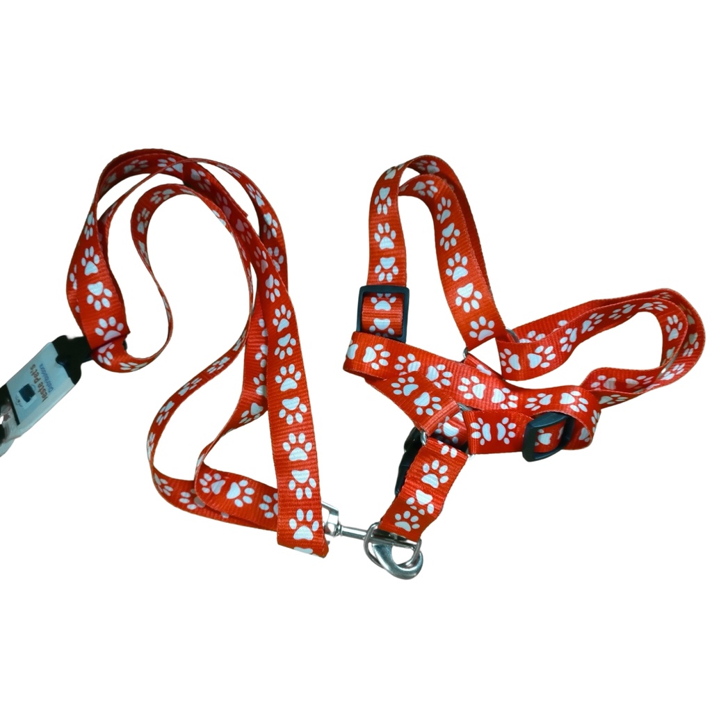 Conjunto pretal y correa eco N-1