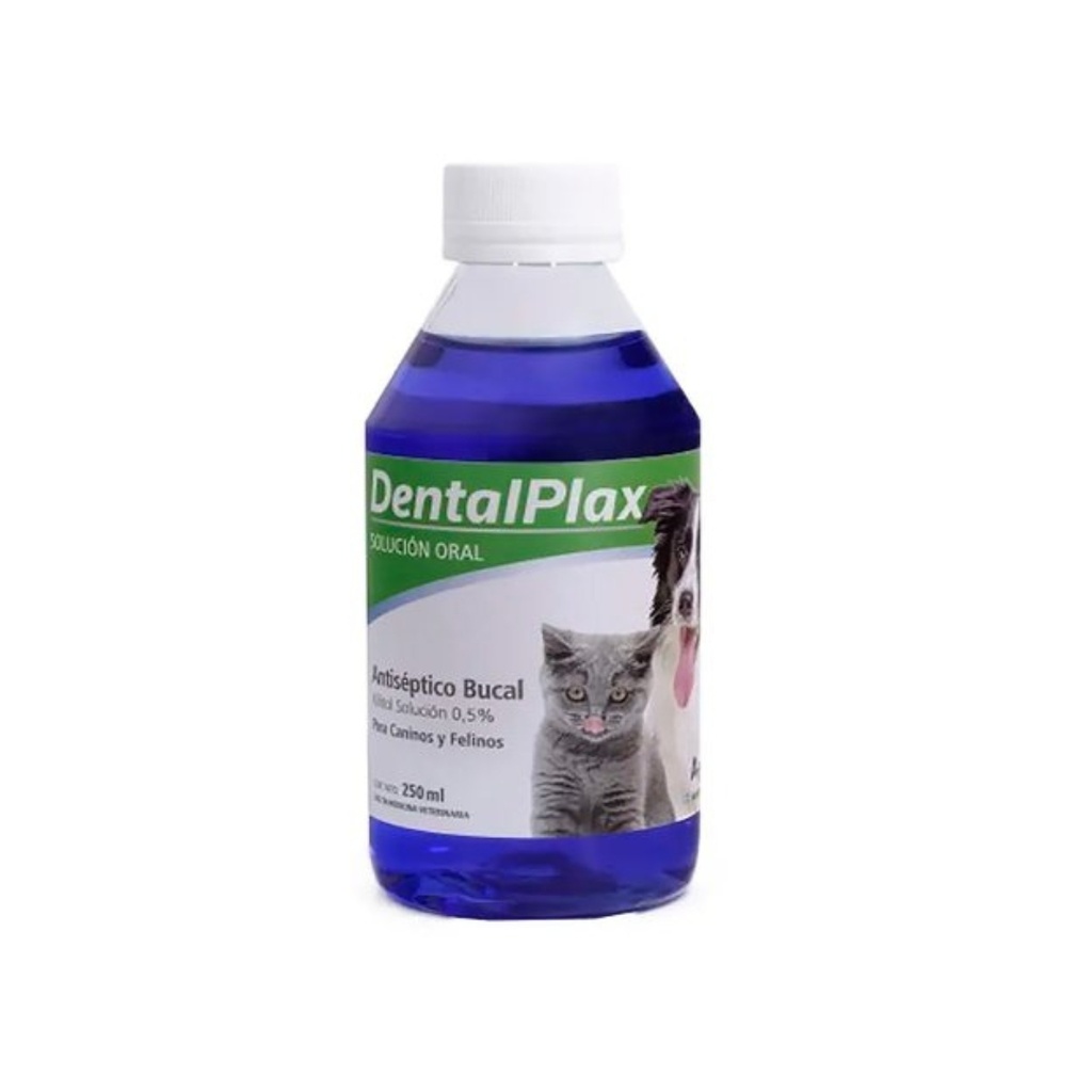 Dental Plax x 250ml                           