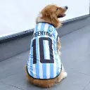 Camiseta selección argentina Talle L