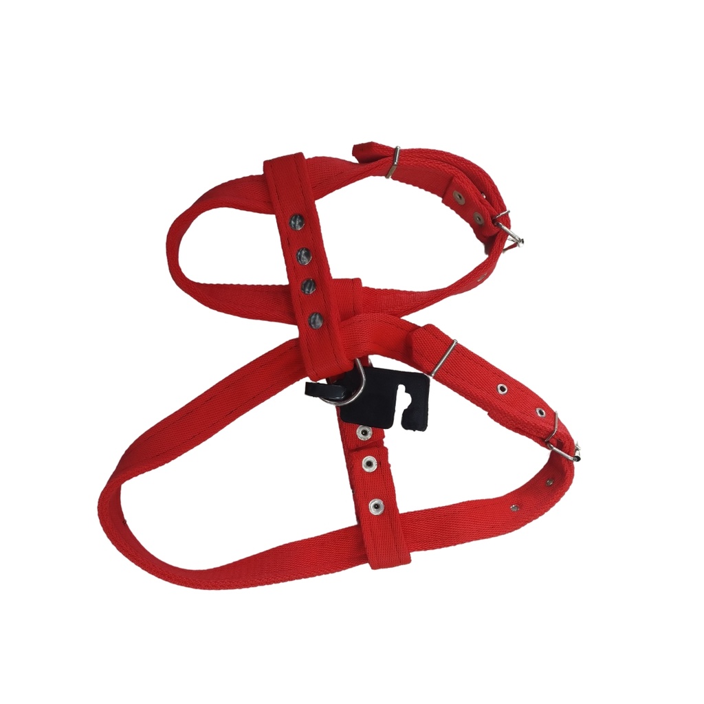 Arnes de nylon doble regulable