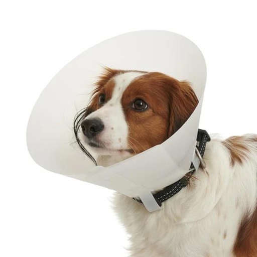 [0166-000210-0] Collar isabelino standard N-6