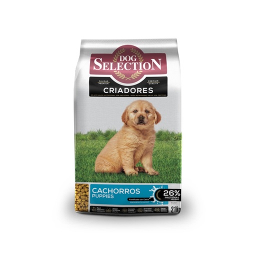 [588] Dog Selection Dog Puppy x 21kg