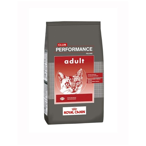 [4273015] Royal Club Performance Cat Adult x 1,5kg
