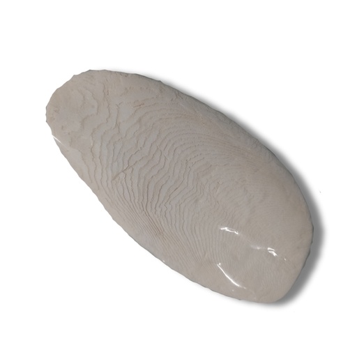 [45903] SEPIA NATURAL P/LOROS 25CM (R)