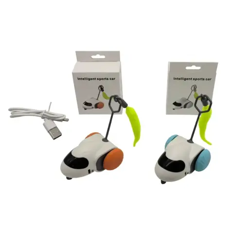 [6937241117072] Juguete interactivo auto 