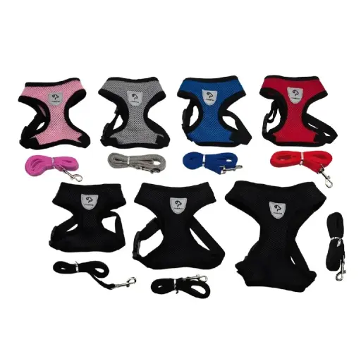 [6937241114668L] Conjunto arnés y correa aireado eco Talle L