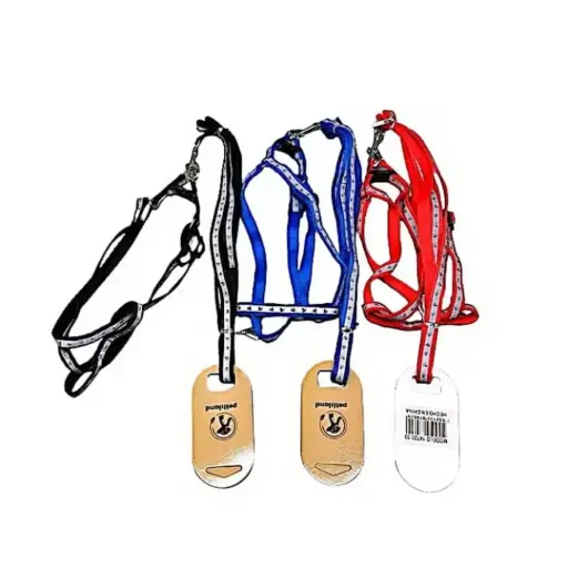 [78921308746291] Pretal y correa línea con estampa 1cm