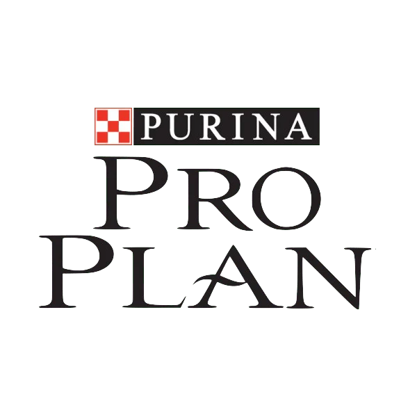 Pro Plan